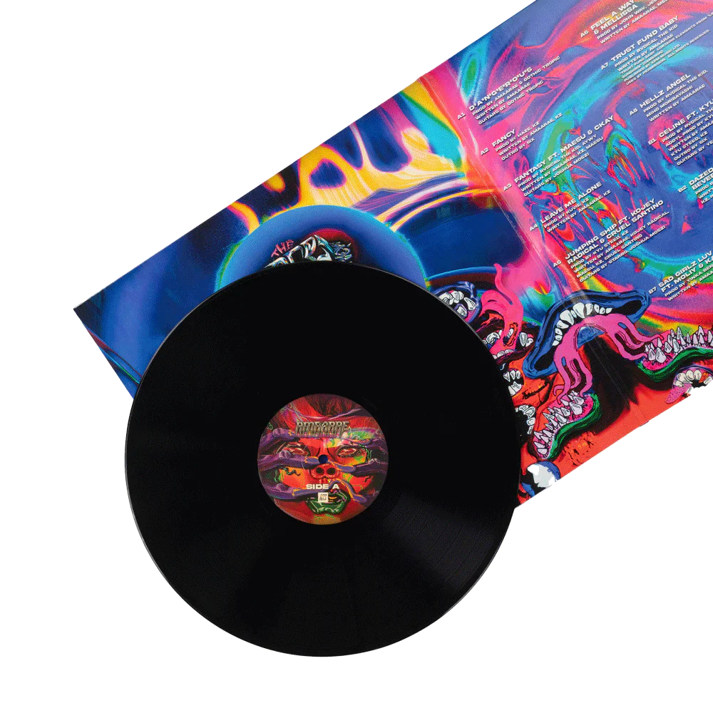 Amaarae - The Angel You Don't Know Black LP - Image 4