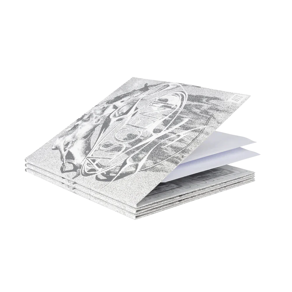 Ascend 2LP - Image 5